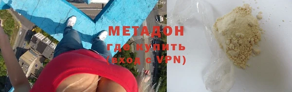 прущие грибы Ельня
