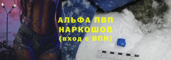 прущие грибы Ельня