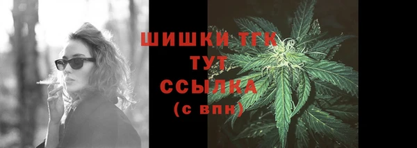 прущие грибы Ельня
