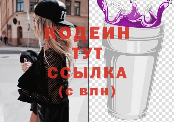 прущие грибы Ельня