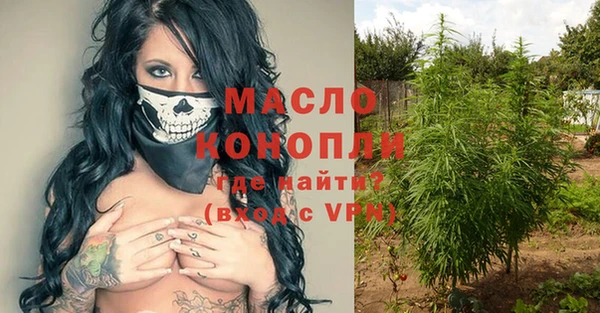 прущие грибы Ельня