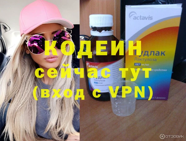 прущие грибы Ельня